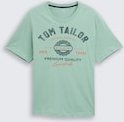 TOM TAILOR Herren Plus Size - T-Shirt mit Logo Print, grün, Uni, Gr. 2XL
