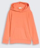 TOM TAILOR Jungen Hoodie Sweatshirt mit Rückenprint, bunt, Uni, Gr. 116/122