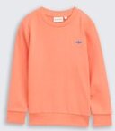 TOM TAILOR Jungen Basic Sweatshirt mit Print, orange, Uni, Gr. 92/98