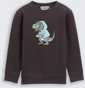 TOM TAILOR Jungen Sweatshirt mit Print, grau, Uni, Gr. 92/98