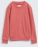 TOM TAILOR Jungen Basic Sweatshirt mit Print, rot, Uni, Gr. 176