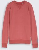 TOM TAILOR Jungen Basic Sweatshirt, rot, Uni, Gr. 152