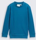 TOM TAILOR Jungen Basic Sweatshirt mit Rückenprint, grün, Uni, Gr. 128/134