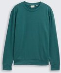TOM TAILOR Herren Basic Sweatshirt in Unifarben, grün, Uni, Gr. XXXL