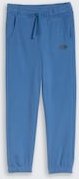 TOM TAILOR Jungen Jogginghose mit Print, blau, Uni, Gr. 98