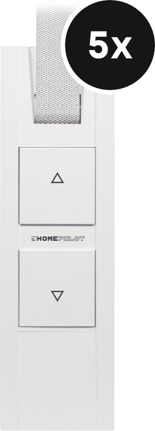 HOMEPILOT Gurtwickler RolloTron pure DECT - 5er-Set