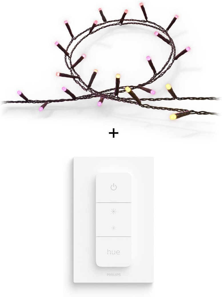 Philips Hue Festavia Lichterkette 20m 250 LEDs + Dimmschalter