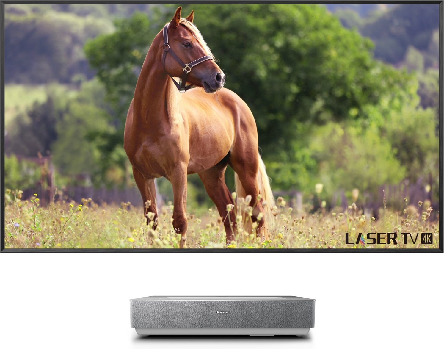 100L5HD Laser TV DLP-Projektor inkl. 100" Daylight Screen hellgrau/silber