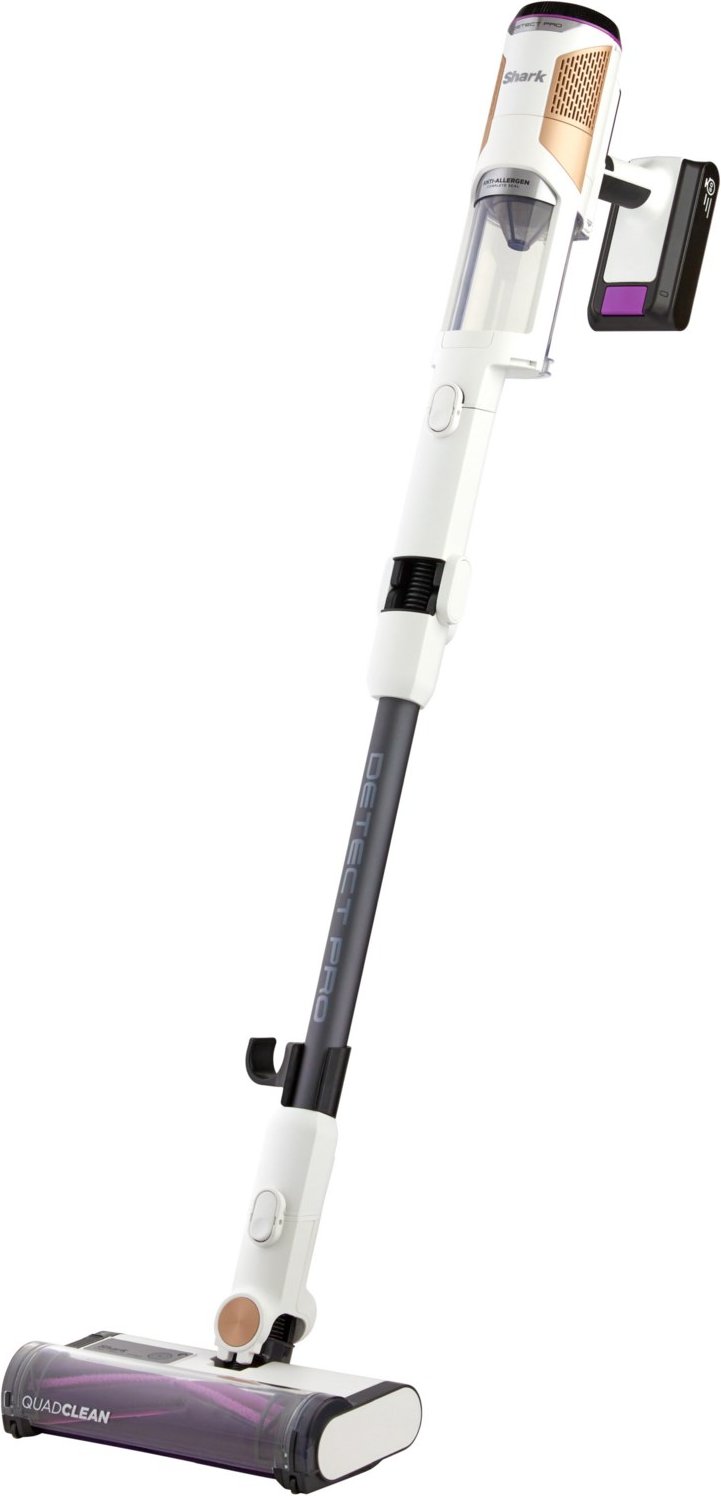 IW1611DE Detect Pro Akku-Stielstaubsauger