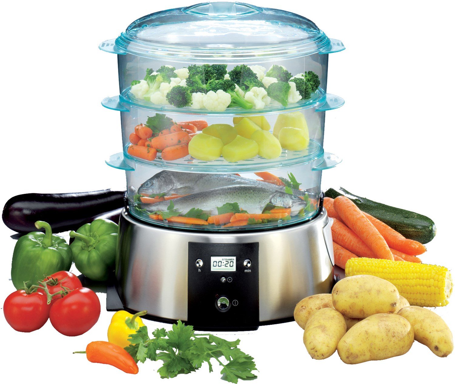 Design Dampfgarer edelstahl/transparent