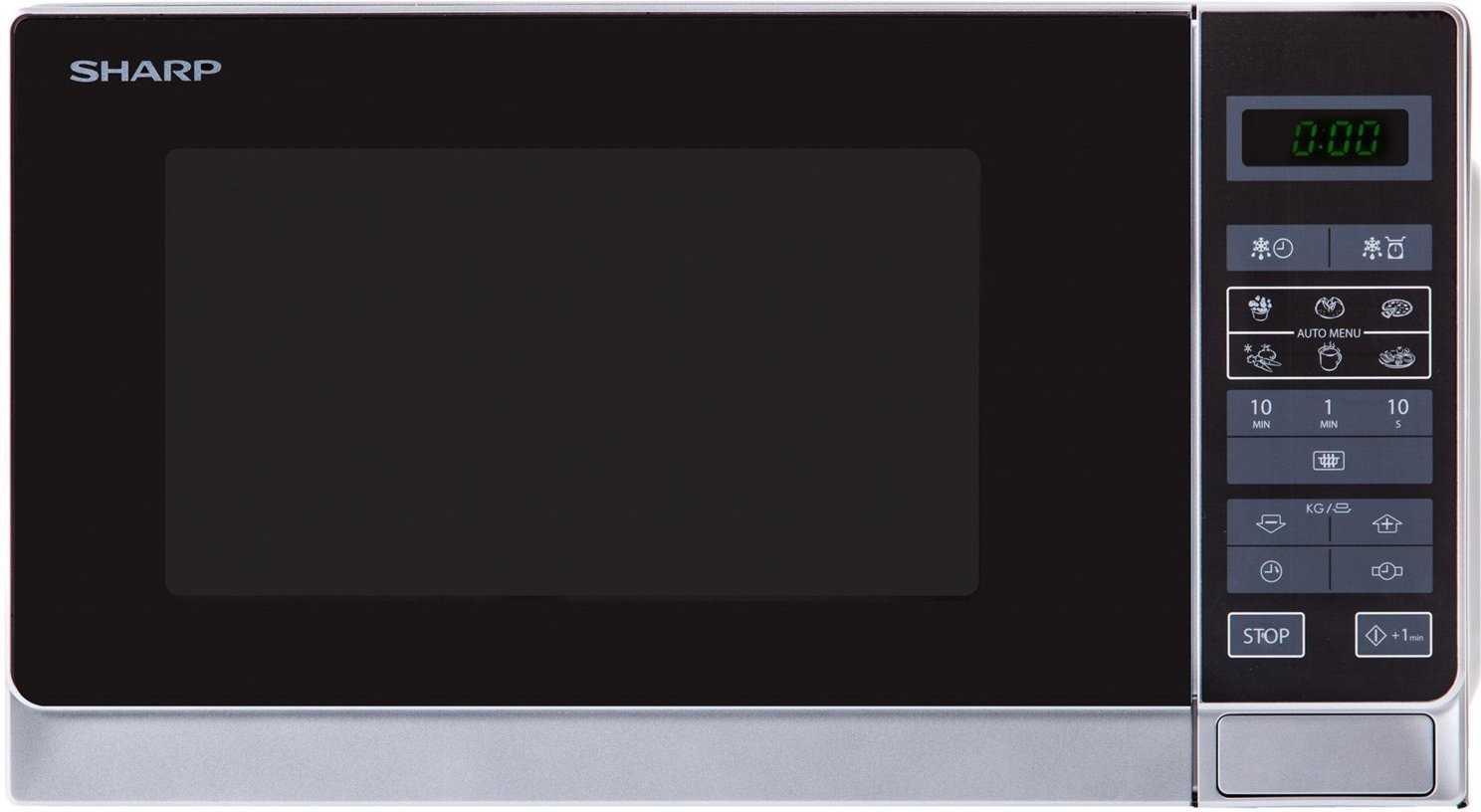 R 242 INW Stand-Solo-Mikrowelle silbermetallic