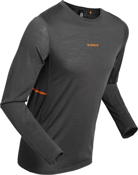 Thumbnail - Daehlie - Performance Wool Long Sleeve - Merinounterwäsche Gr S grau