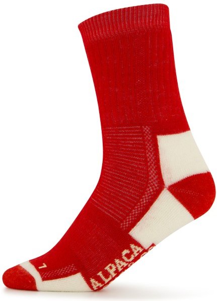 Alpacasocks&Co - Merino Kids - Multifunktionssocken Gr 23-26 rot