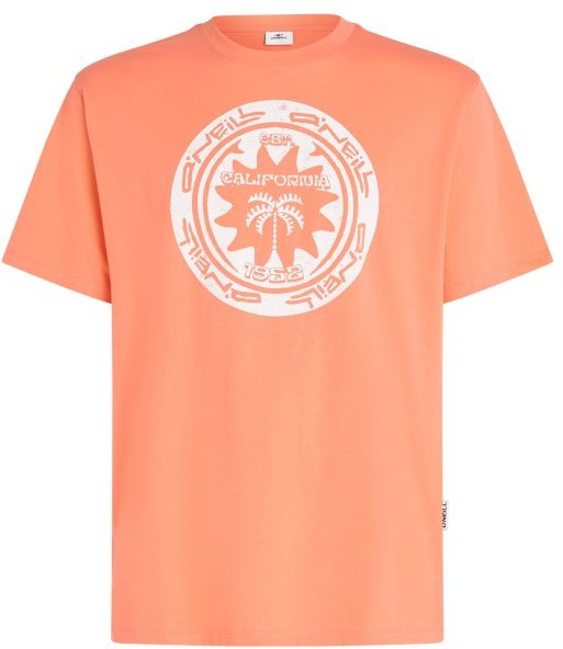 O'Neill - Musthave Graphic T-Shirt - T-Shirt Gr XL rot