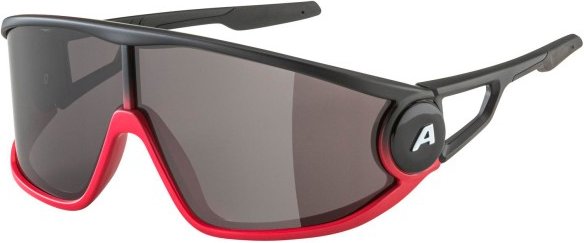 Alpina - Legend Cat. 3 - Sonnenbrille grau