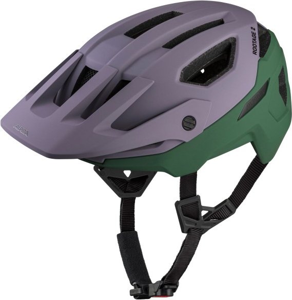 Alpina - Rootage 2 - Radhelm Gr 52-56 cm grau