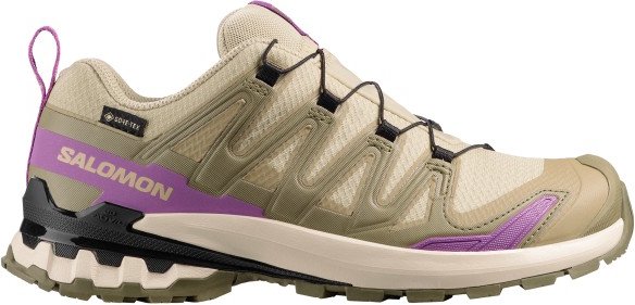 Salomon - Women's XA Pro 3D V9 GTX - Multisportschuhe Gr 37 1/3 beige