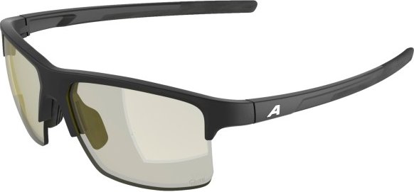 Alpina - Eagle Q-Lite S1 - Sonnenbrille grau