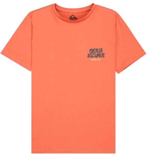 Thumbnail - Quiksilver - Kid's Fruits Tide S/S - T-Shirt Gr 14 rot