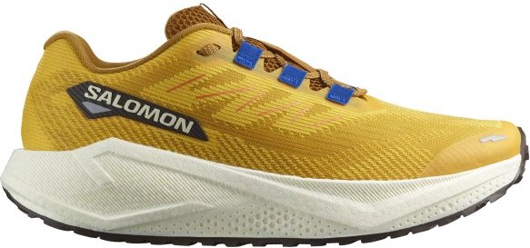 Salomon - Aero Blaze 3 Grvl - Runningschuhe Gr 40 2/3 beige