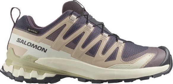 Salomon - Women's XA Pro 3D V9 GTX - Multisportschuhe Gr 38 2/3 beige