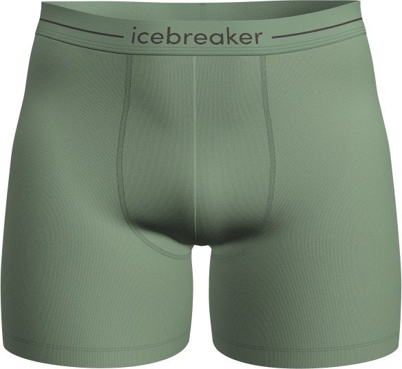 Icebreaker - Anatomica Boxers - Merinounterwäsche Gr XL grün/oliv