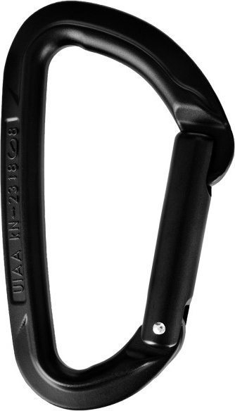 Wild Country - Session Straight Gate - Schnappkarabiner schwarz