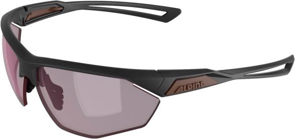 Alpina - Nylos HR S1 - Sonnenbrille grau