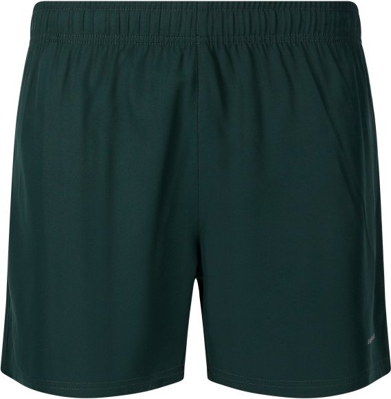 ENDURANCE - Kros Shorts - Laufshorts Gr L blau