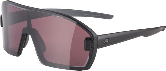 Alpina - Bonfire Mag Q S1 + S3 - Sonnenbrille grau