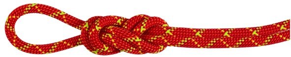 Mammut - 8.0 Alpine Core Protect Dry Rope - Halbseil Gr 40 m rot/weiß