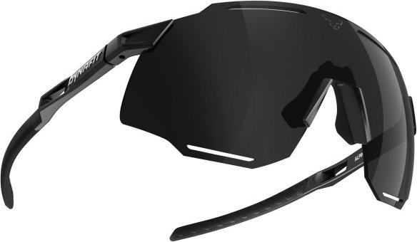 Dynafit - Alpine Sunglasses - Laufbrille schwarz