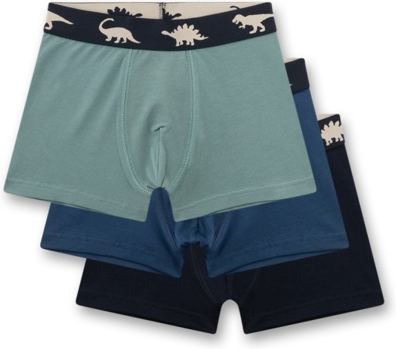 Sanetta - Kid's Set Shorts 337329 3-Pack - Unterhose Gr 116 türkis