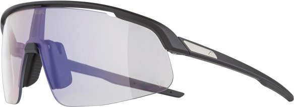 Alpina - Turbo Pro S V Photochromic S0-3 - Fahrradbrille grau