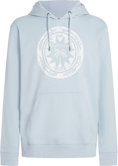 O'Neill - Musthave Graphic Hoodie - Hoodie Gr XL grau