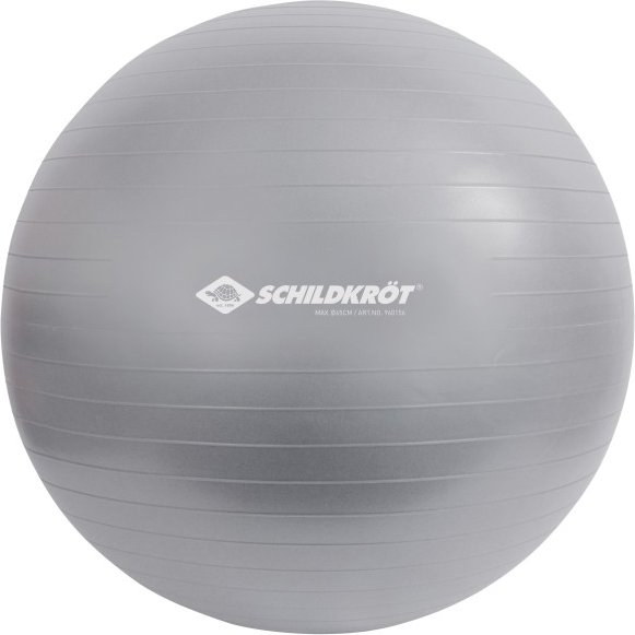 Schildkröt Fitness - Gymnastikball - Functional Training Gr 65 cm grau