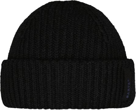 Barts - Alexon Beanie - Mütze Gr One Size schwarz