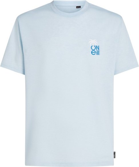 O'Neill - Hybrid Polygiene Graphic T-Shirt - T-Shirt Gr M grau