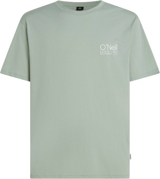 O'Neill - O'Riginals Cali T-Shirt - T-Shirt Gr L grau