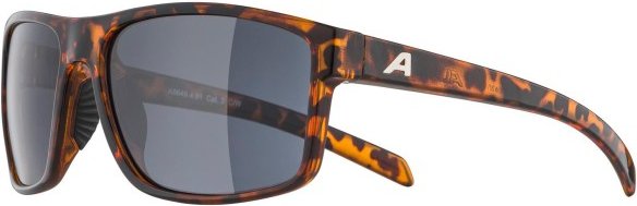 Alpina - Nacan I S3 - Sonnenbrille grau