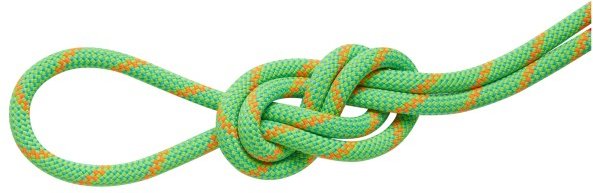 Mammut - 8.0 Alpine Dry Rope - Halbseil Gr 30 m assorted