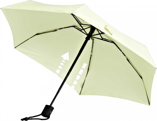 EuroSchirm - Dainty Automatic - Regenschirm grün