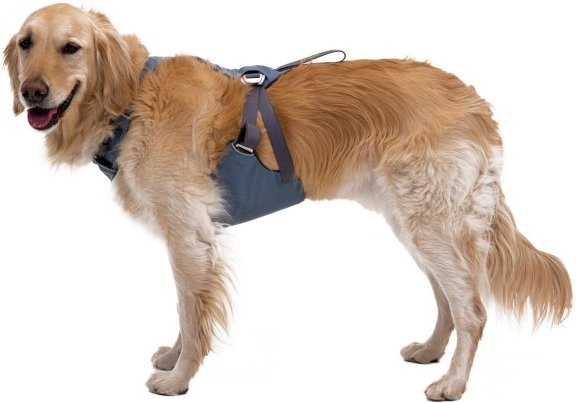 Thumbnail - Ruffwear - Load Up Harness - Hundegeschirr Gr M blau