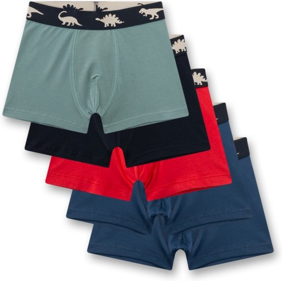 Sanetta - Kid's Set Shorts 337333 5-Pack - Unterhose Gr 104 bunt