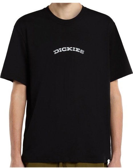 Dickies - Dickies Outdoor S/S Tee - T-Shirt Gr S schwarz