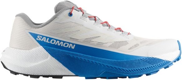 Salomon - Pulsar - Trailrunningschuhe Gr 48 grau