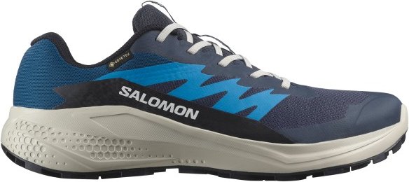 Thumbnail - Salomon - Alphaglide GORE-TEX - Trailrunningschuhe Gr 47 1/3 blau