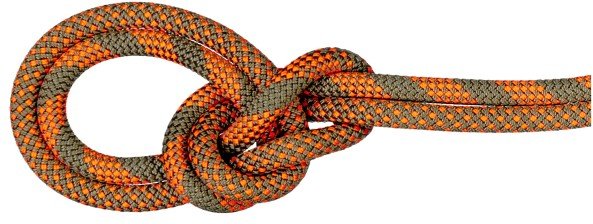 Mammut - 9.5 Crag Dry Rope Duodess - Einfachseil Gr 80 m braun