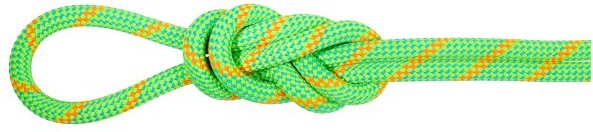 Mammut - 8.0 Alpine Dry Rope - Halbseil Gr 50 m grün