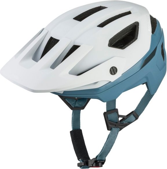 Alpina - Rootage 2 Mips - Radhelm Gr 55-59 cm grau